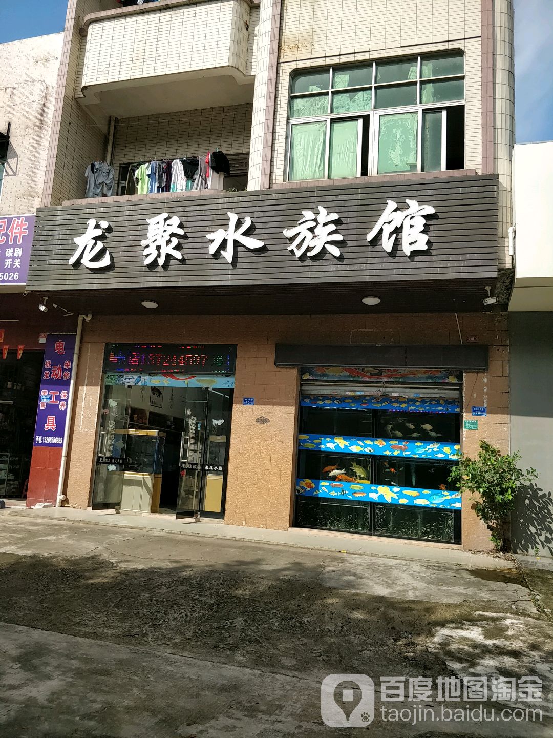 龙聚水族馆(企石店)