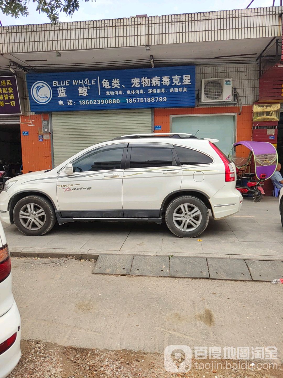 蓝鲸龟类宠物病毒克星