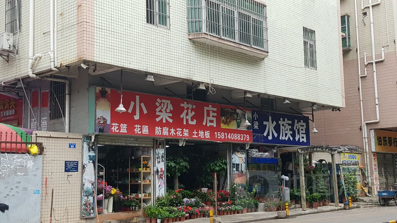 小梁水族馆