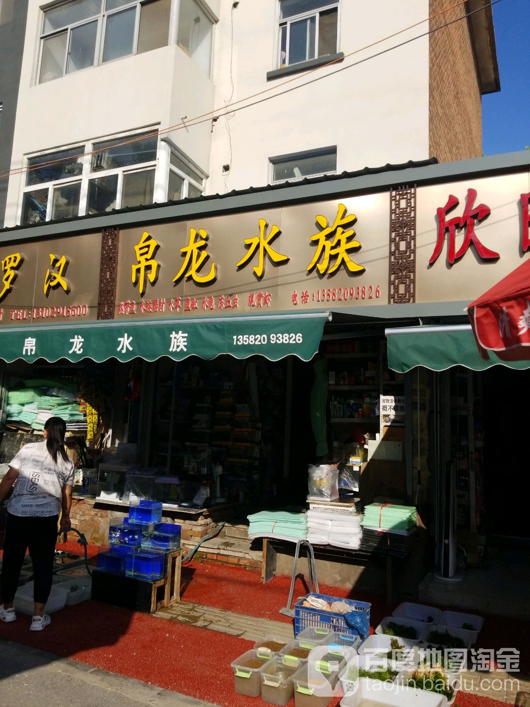 帛龙水族