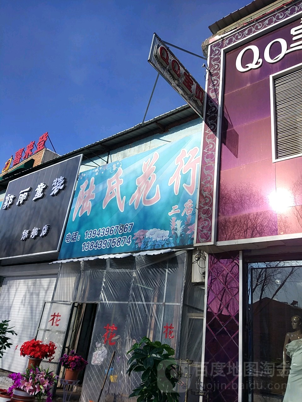 陆氏花卉