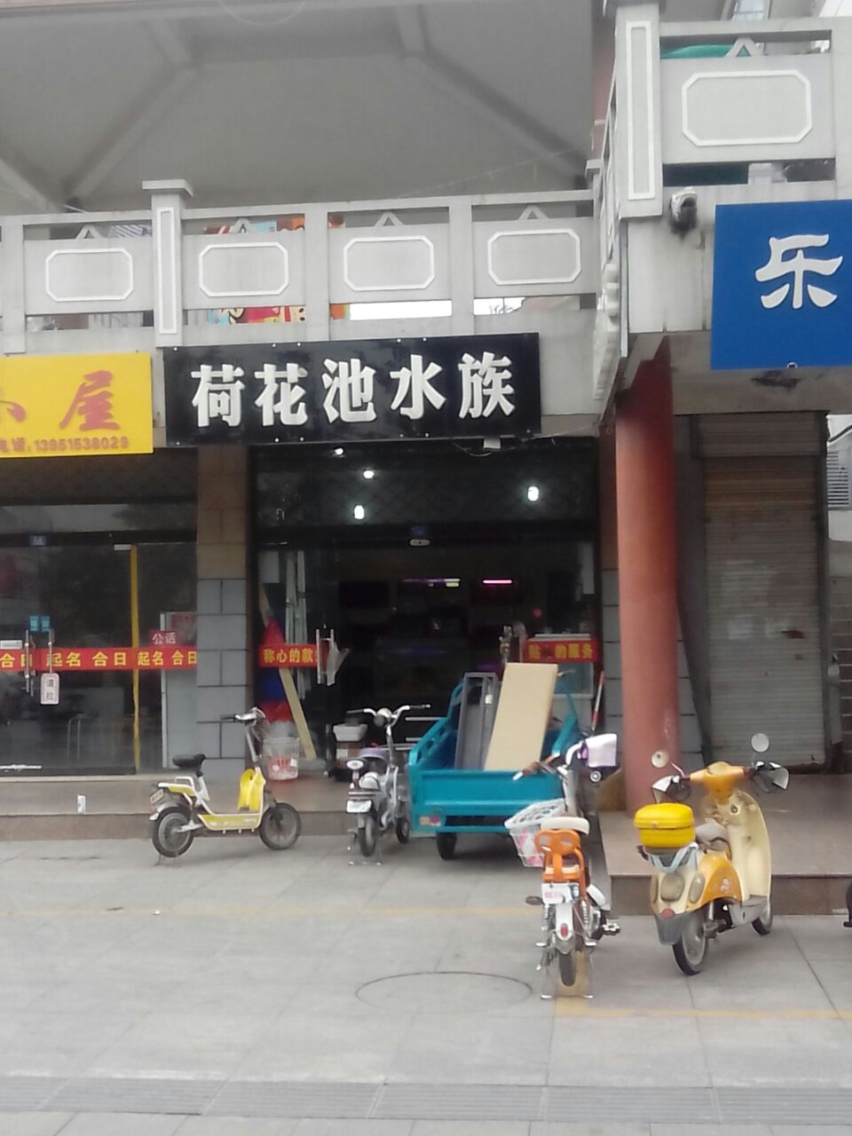 莲花池水族