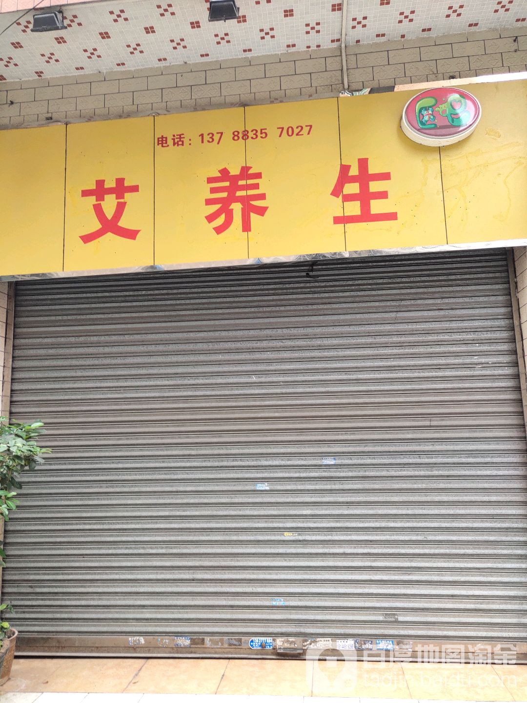 艾养生