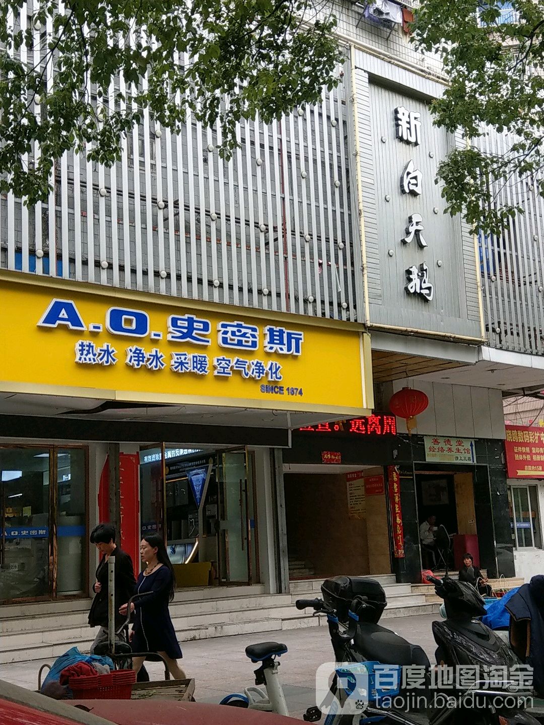 新白天鹅