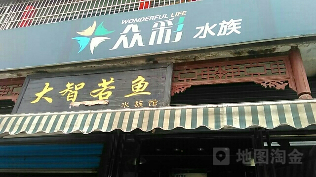 大智若鱼水族馆