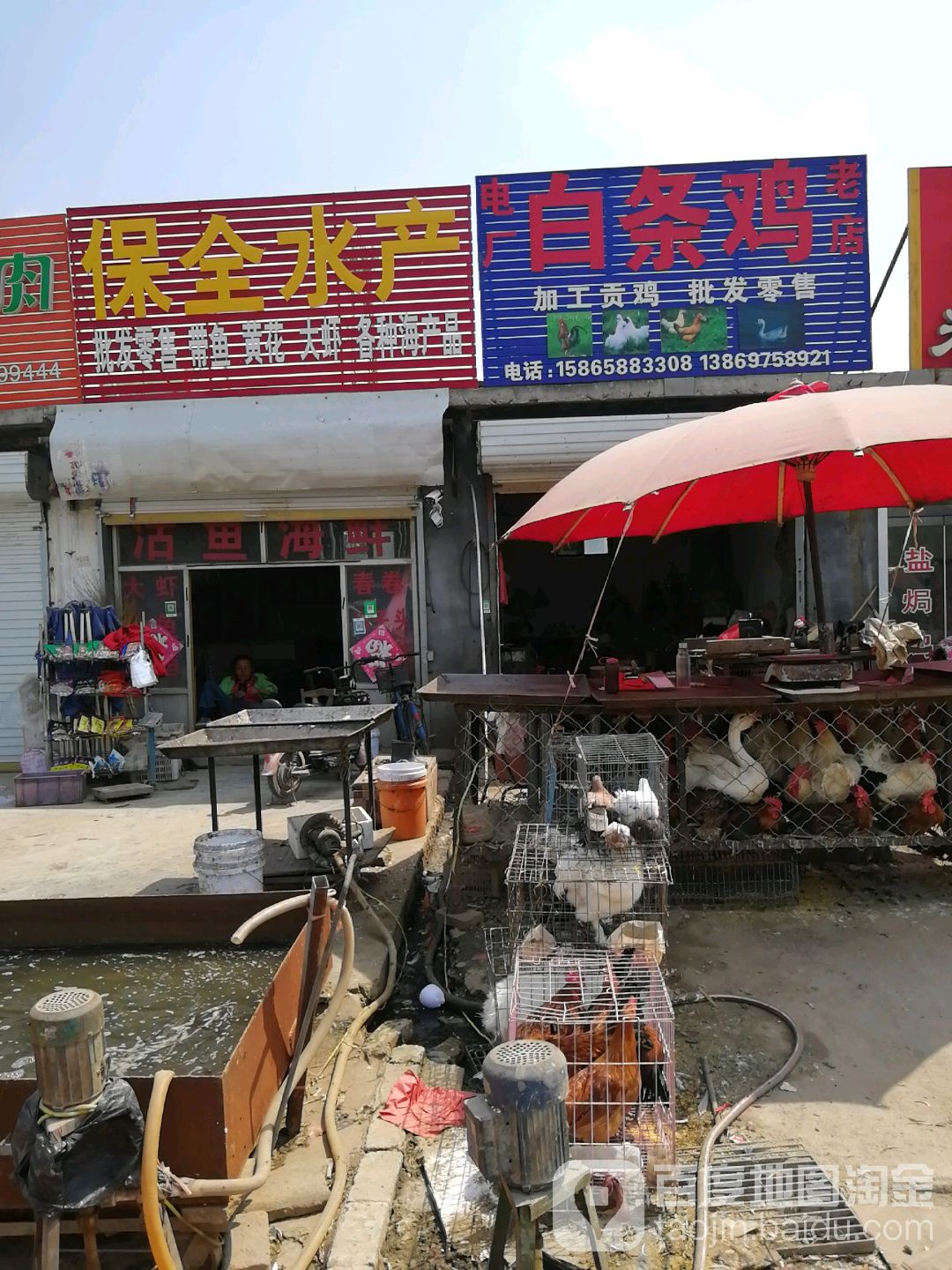保全水产