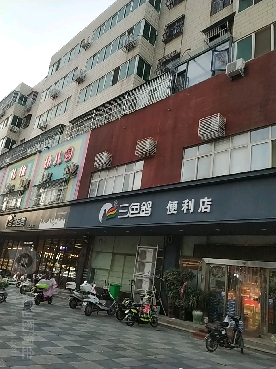 三色鸽体验店