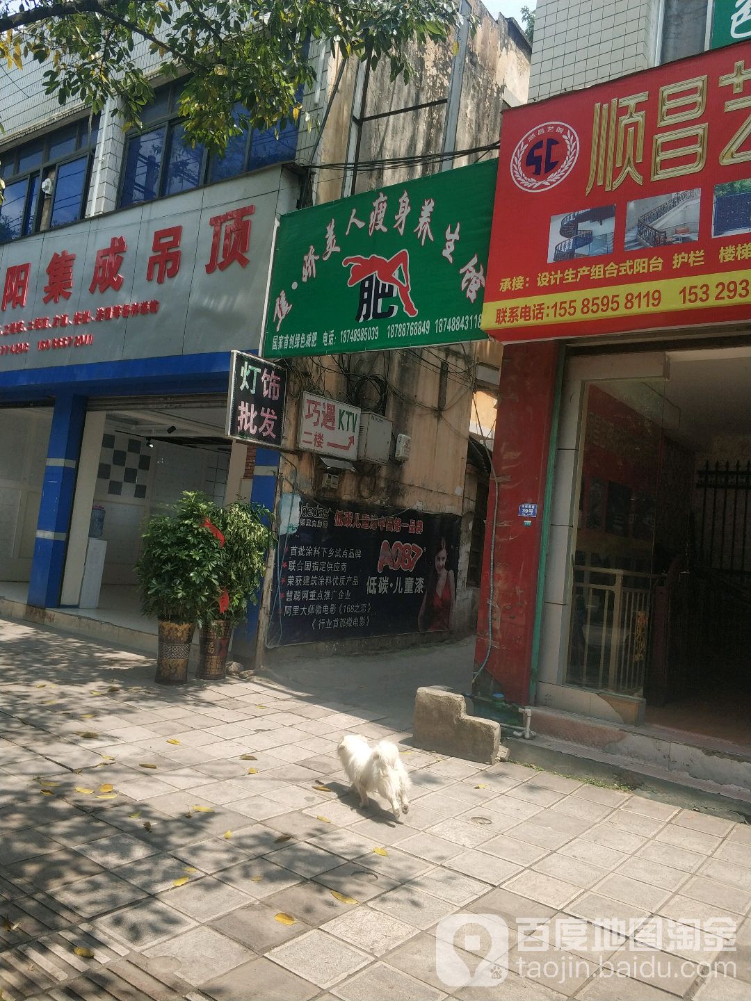 焦娇美人肯瘦身馆(南环西路店)