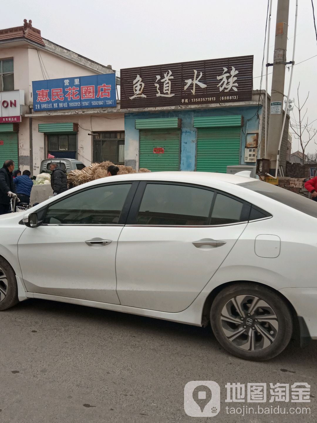 鱼到水族