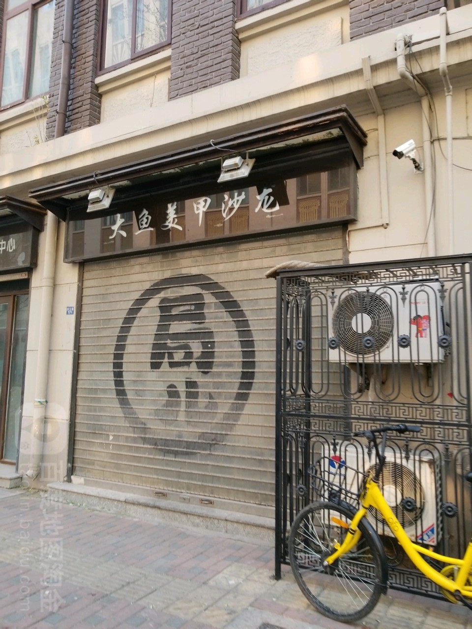 大鱼没加沙龙