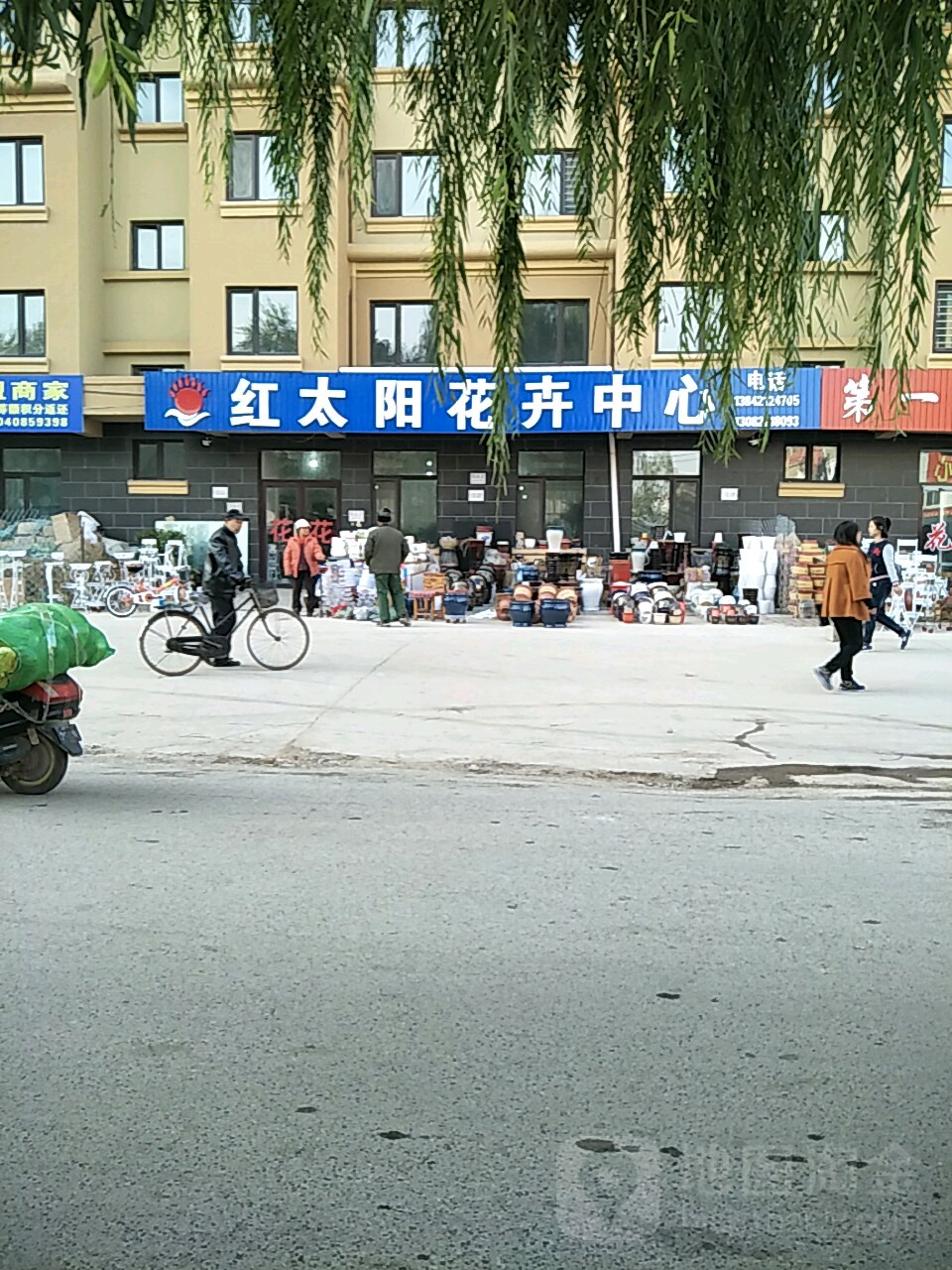 红太阳花卉中心