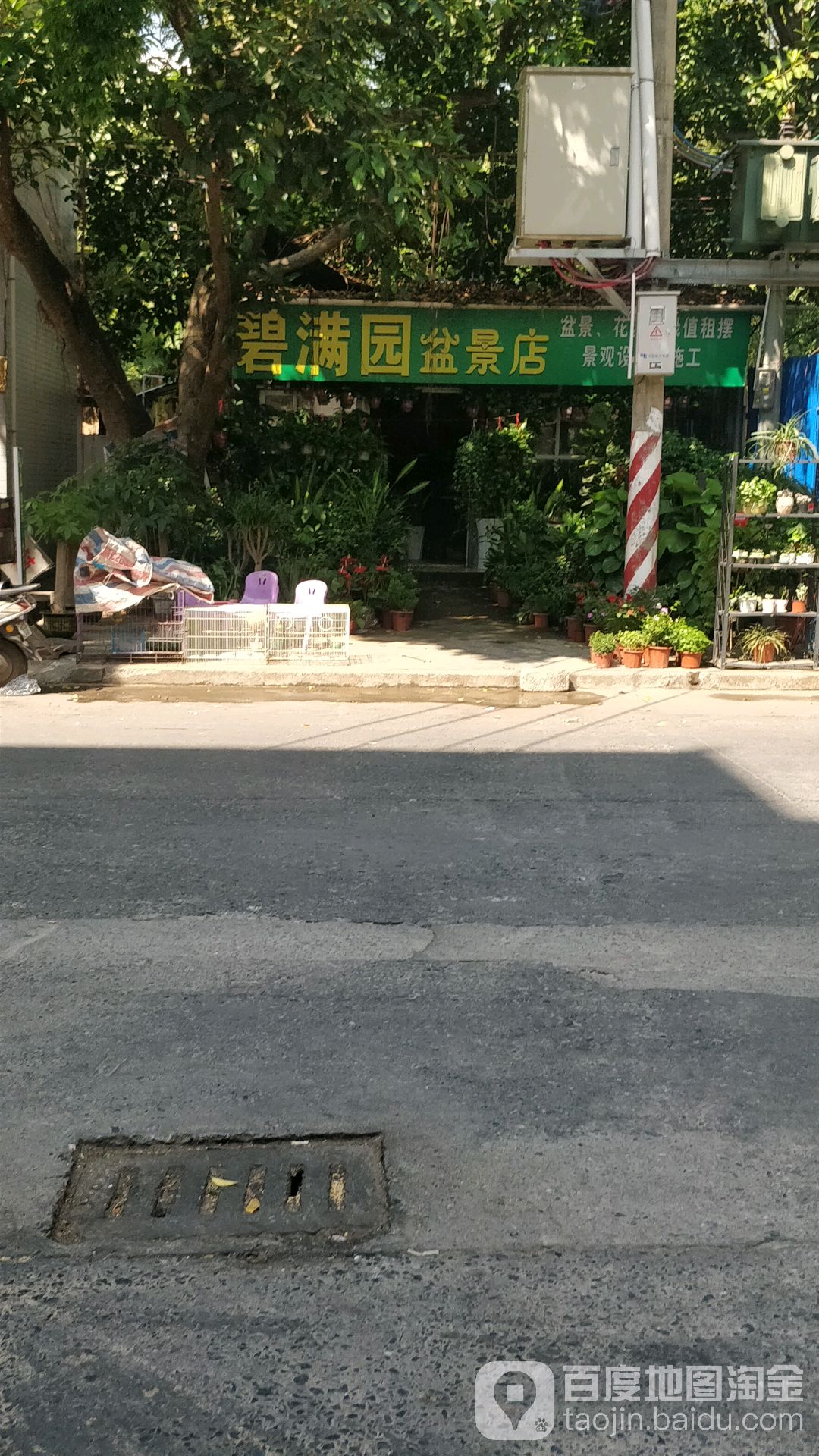 碧满园盆景店
