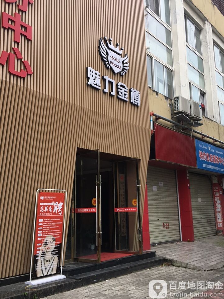 魅力金樽