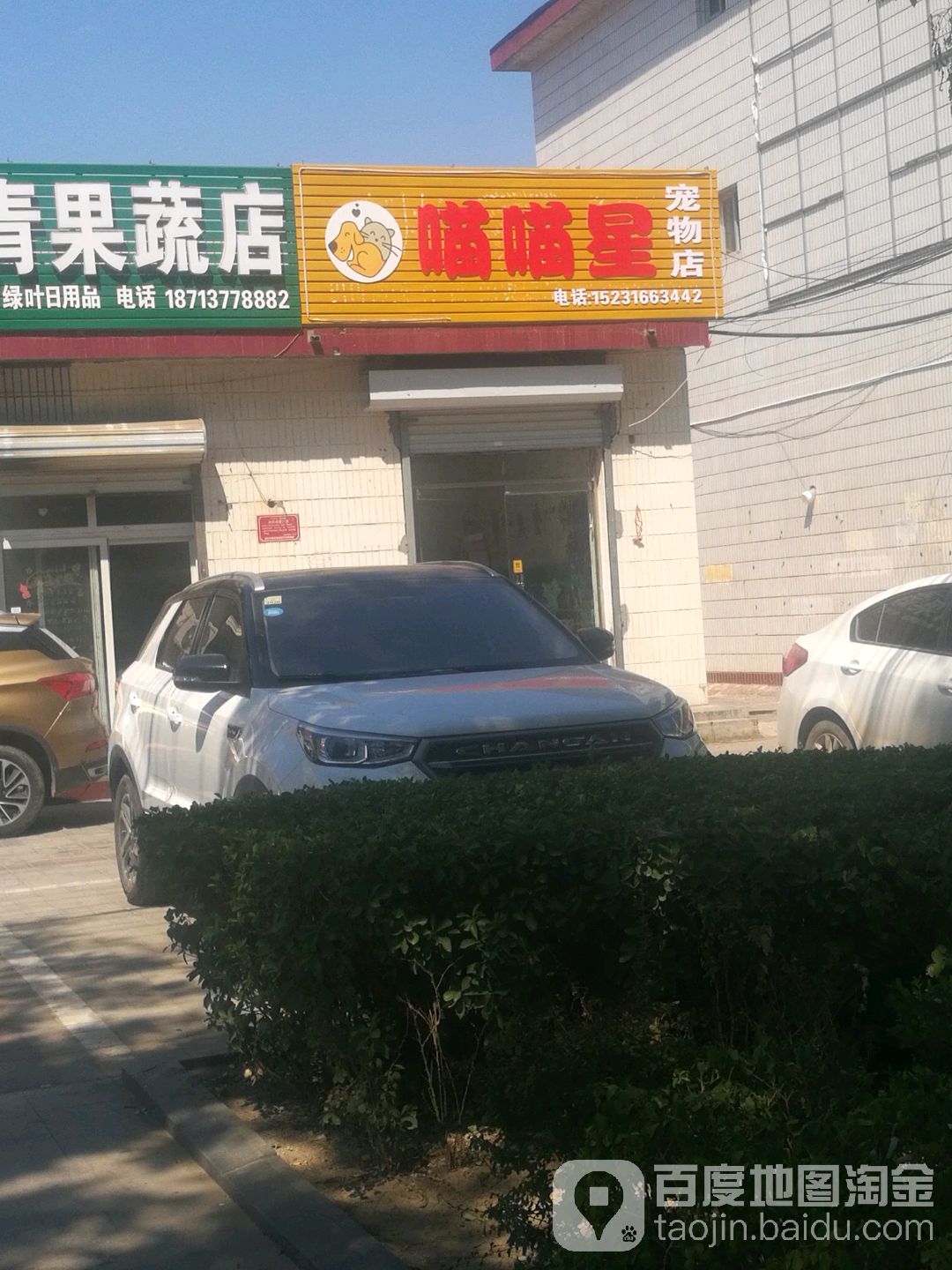 喵喵星宠物店