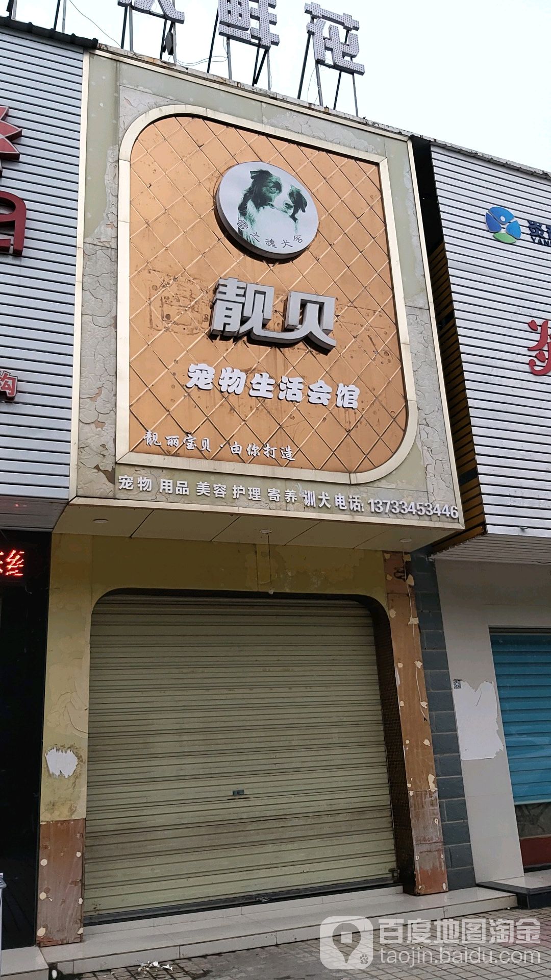 俊贝宠物生活馆应城市开发区广场大道阳光名城七栋四号门店