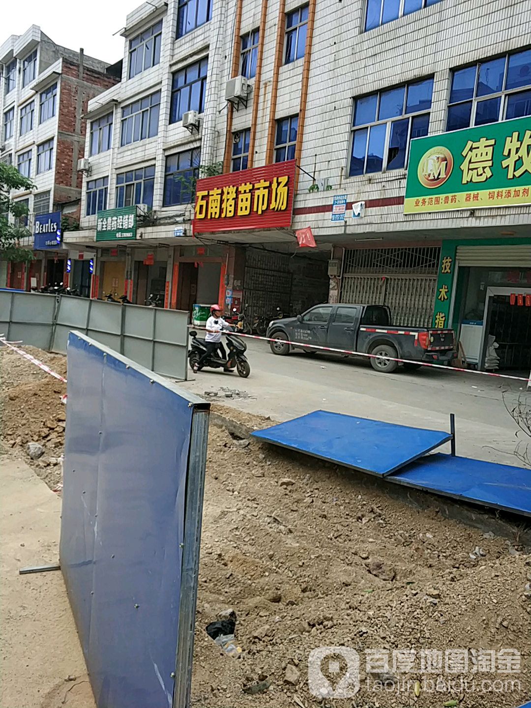 石南猪苗市场