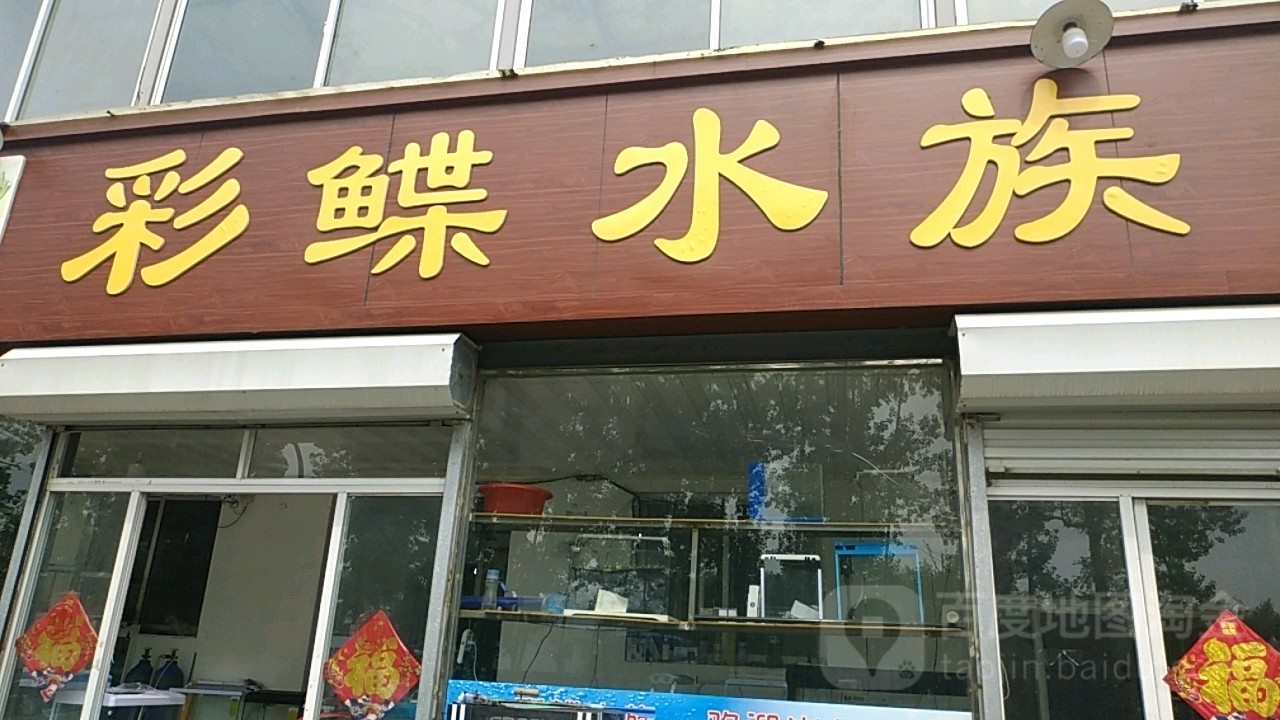 彩鲽水族(永福南路店)