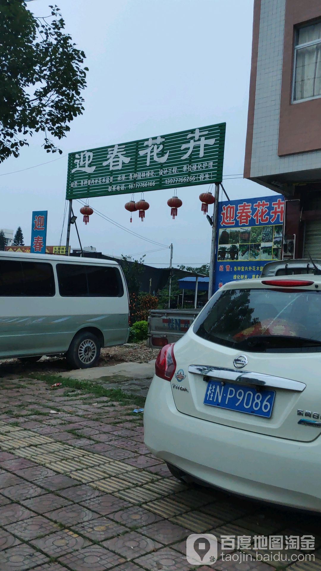 迎春花卉(江北路店)