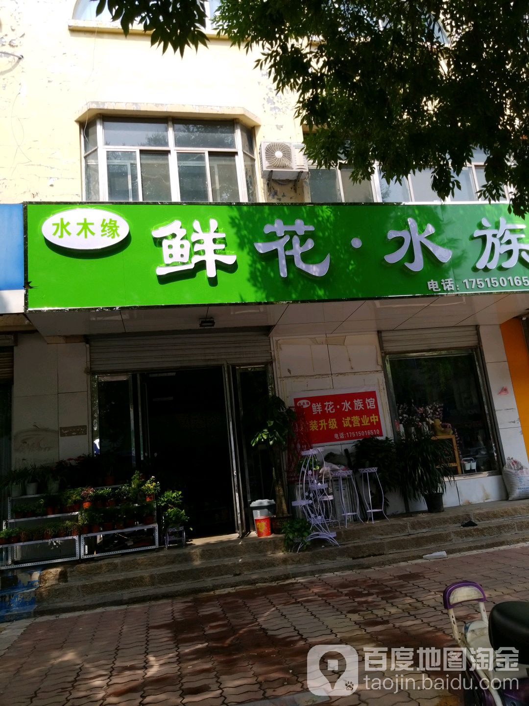 水木缘鲜花水族