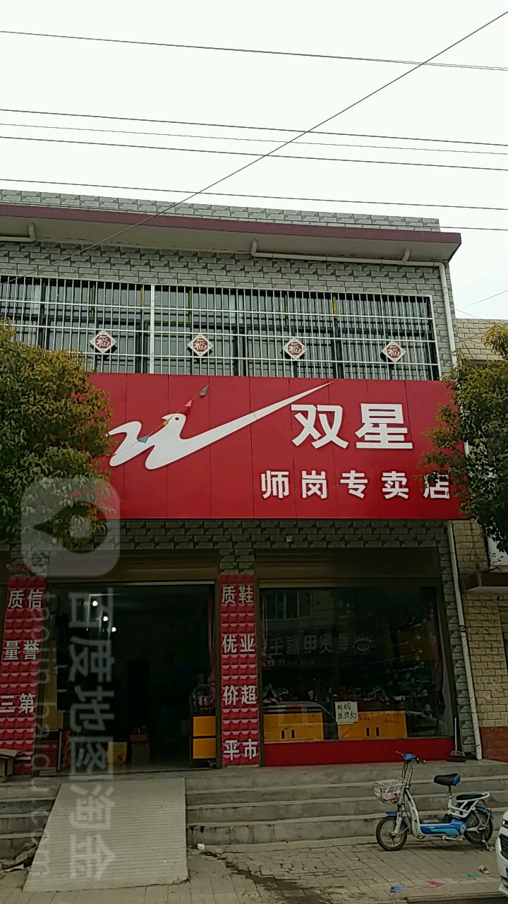 内乡县师岗镇双星(X029店)