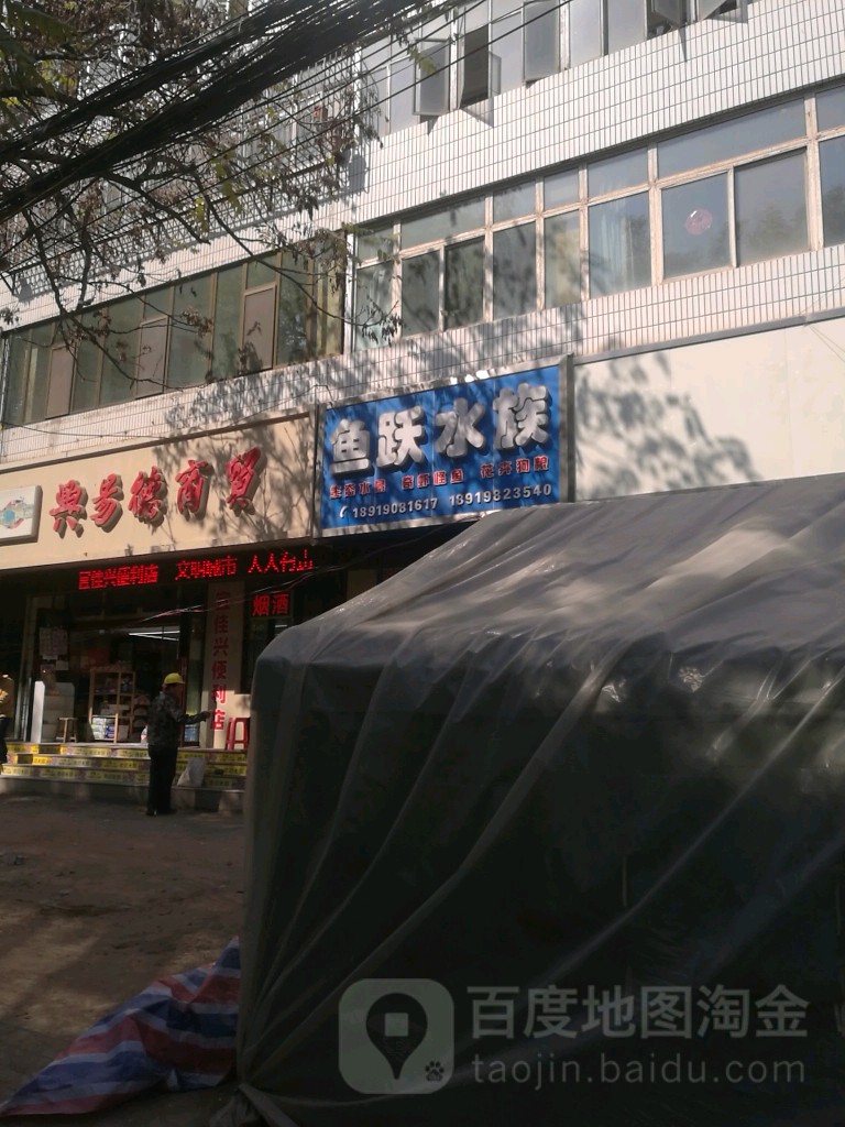 鱼跃水景