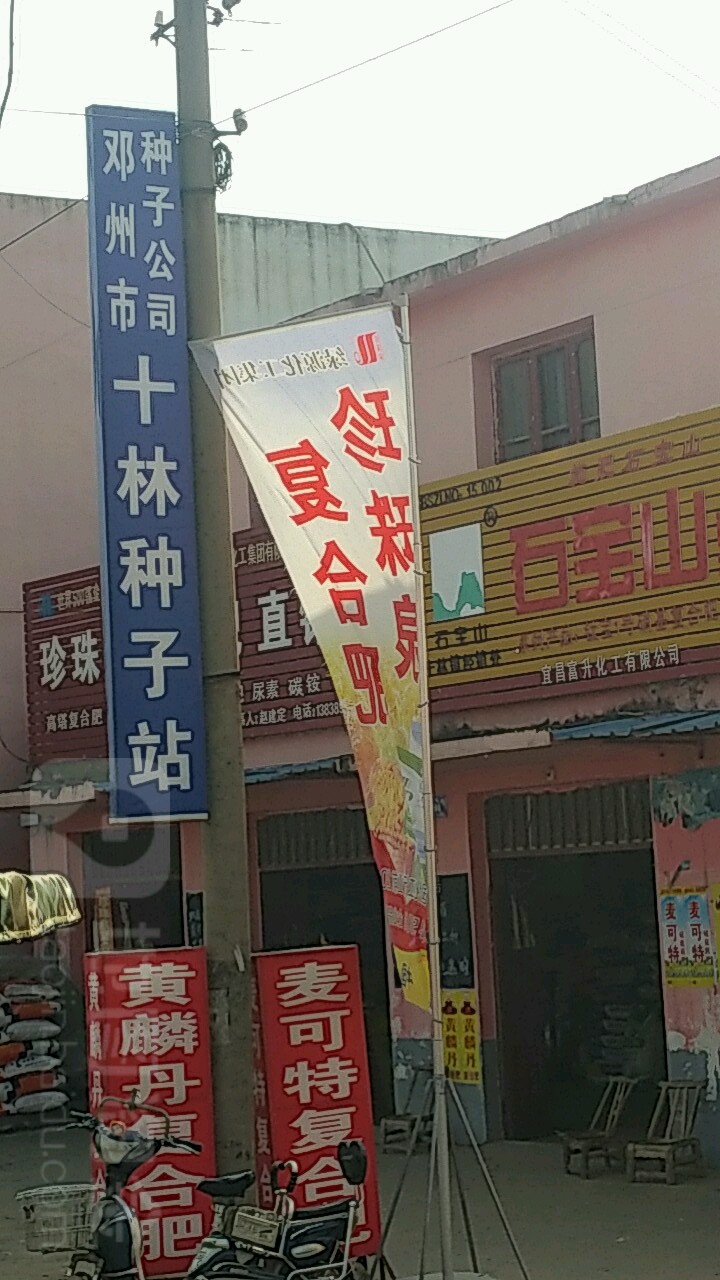 邓州市十林镇十林种子站