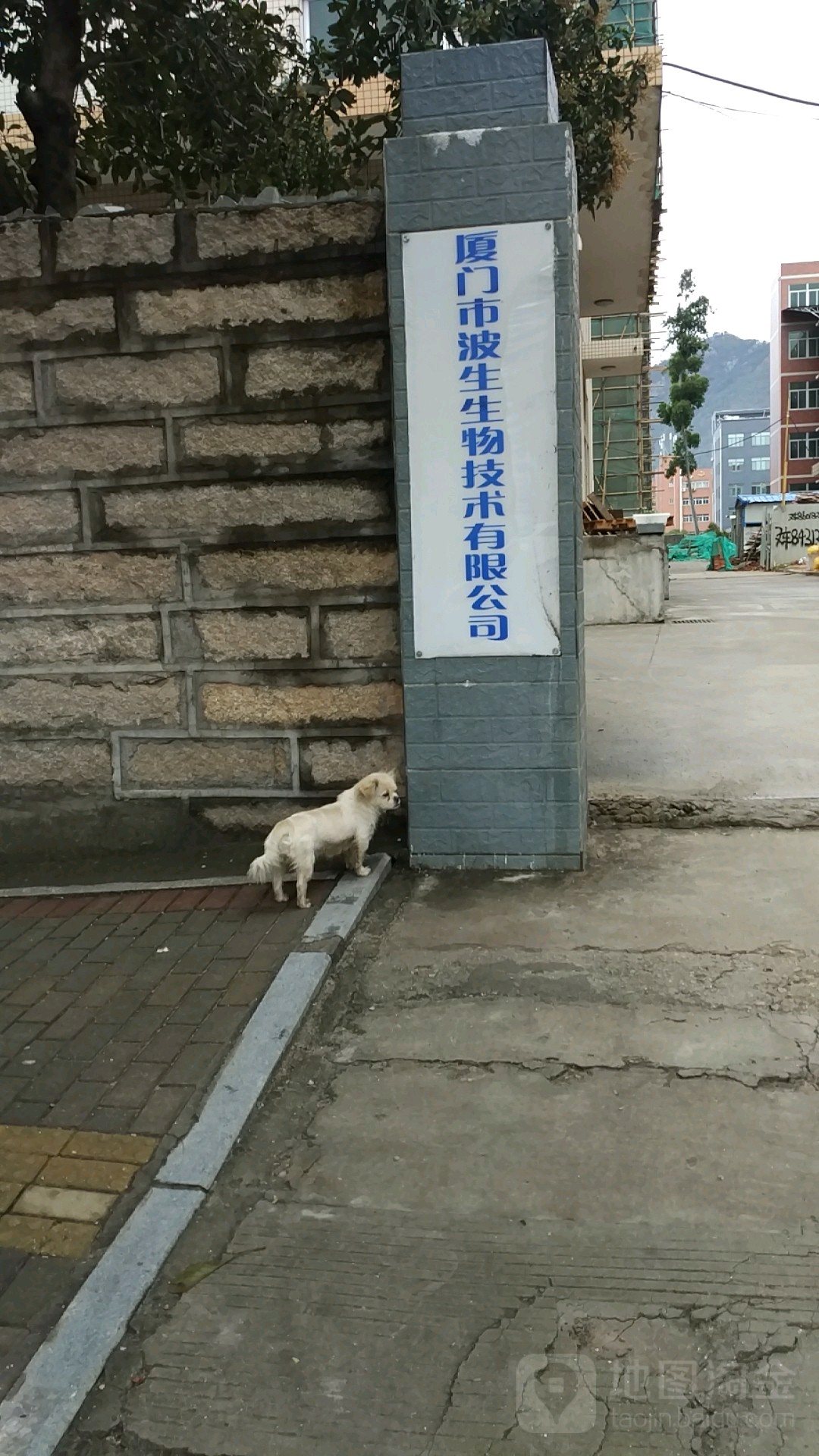 厦门市波生生物。技术有限公司