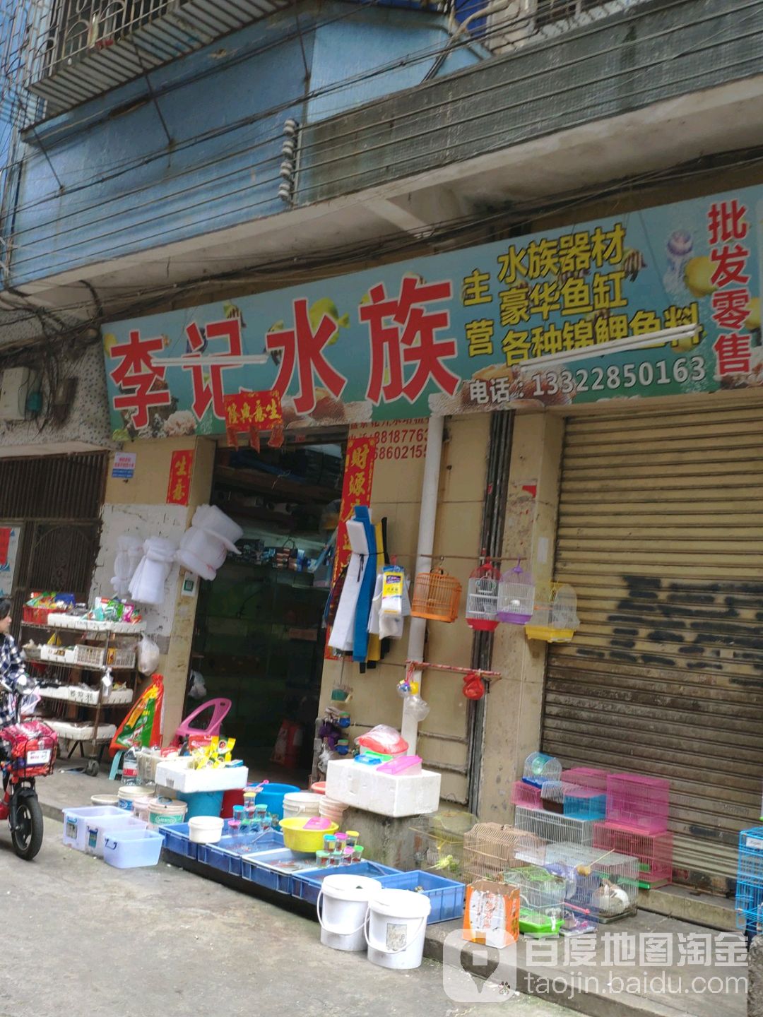 李记水族