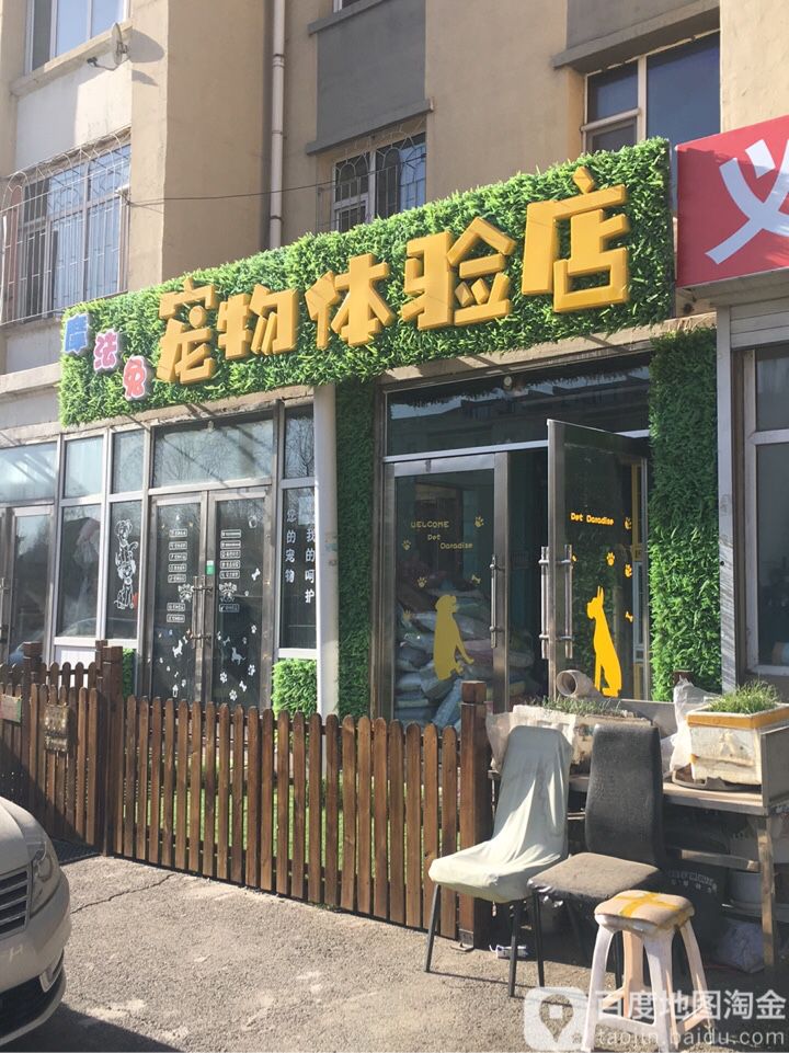 摩法兔宠物体验店