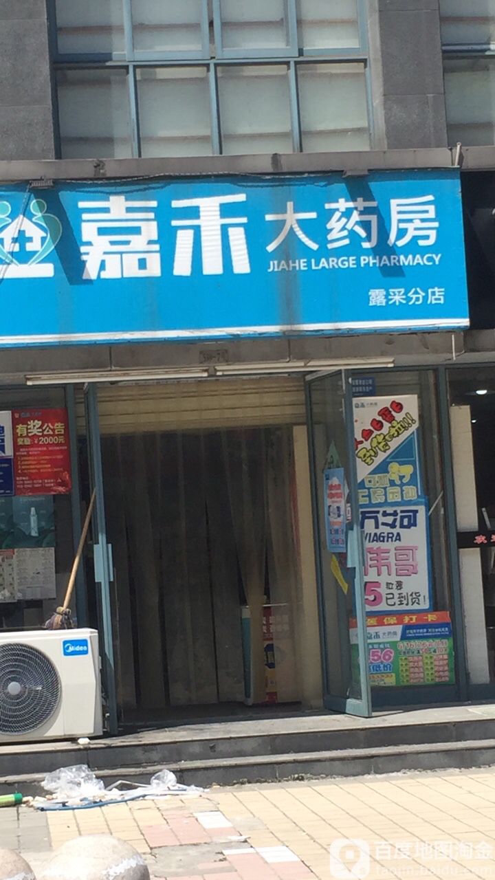 嘉禾大药房(露采分店)