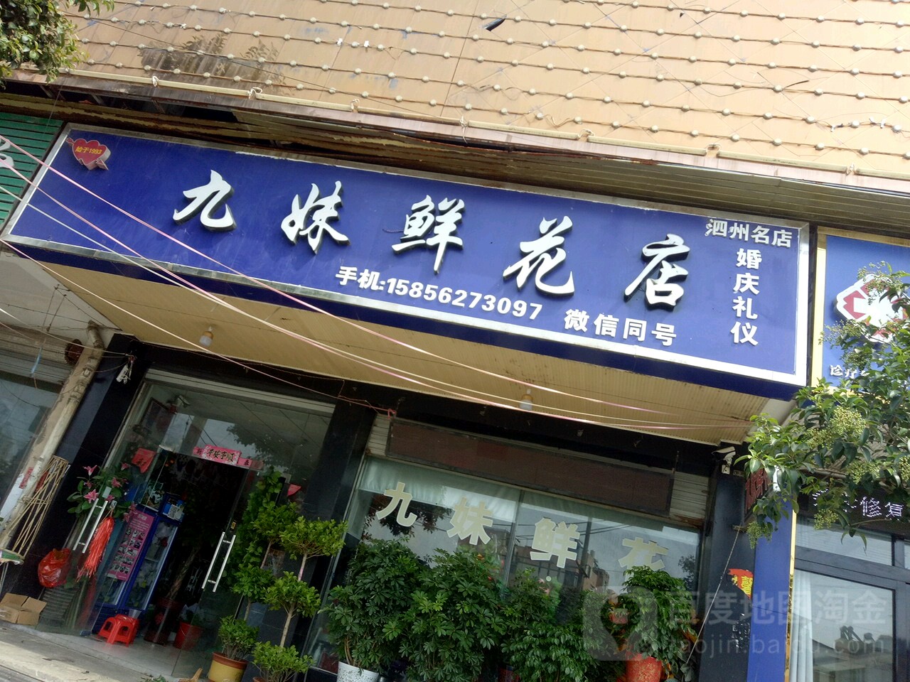 九妹鲜花(西关桥头店)