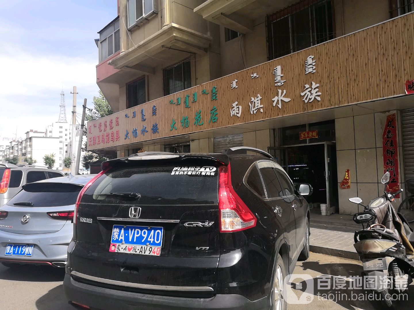 大杨水族