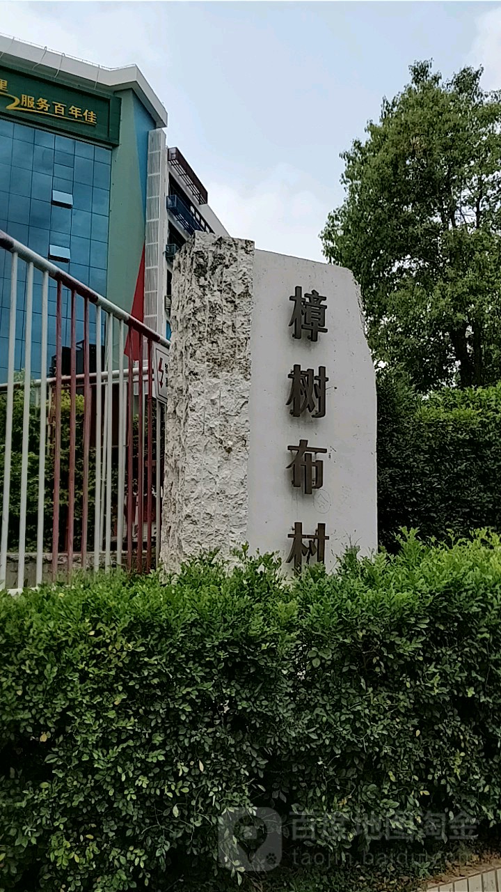 龙岗区布吉镇大坡头村图片