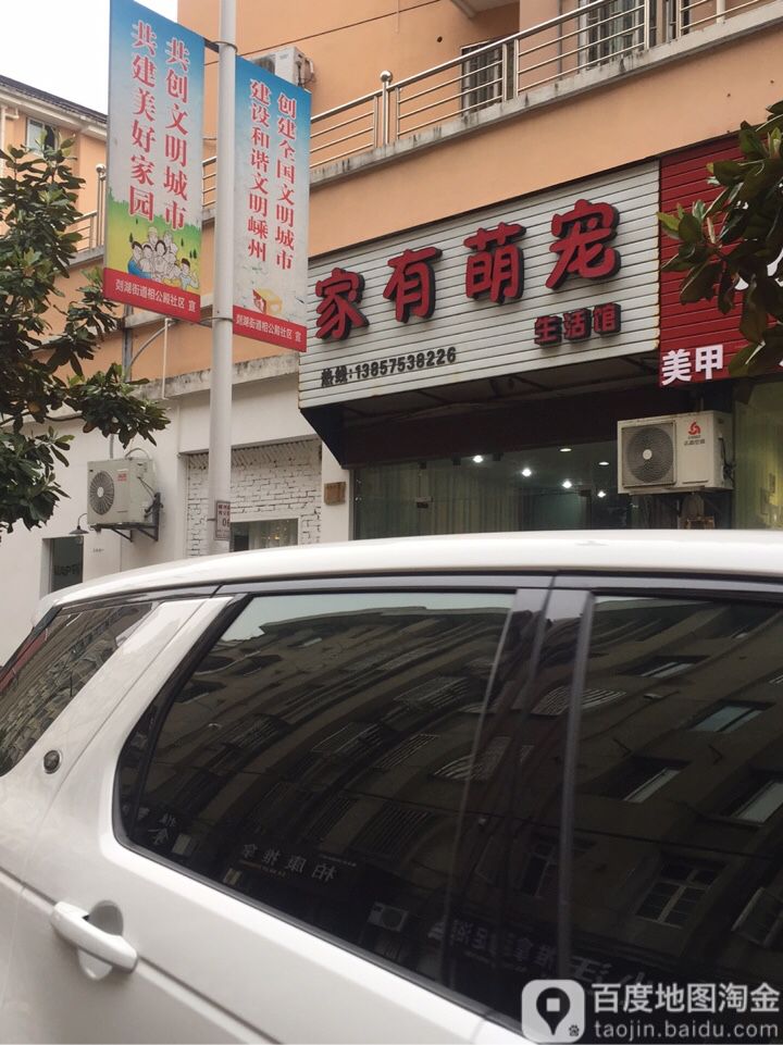 家有萌宠