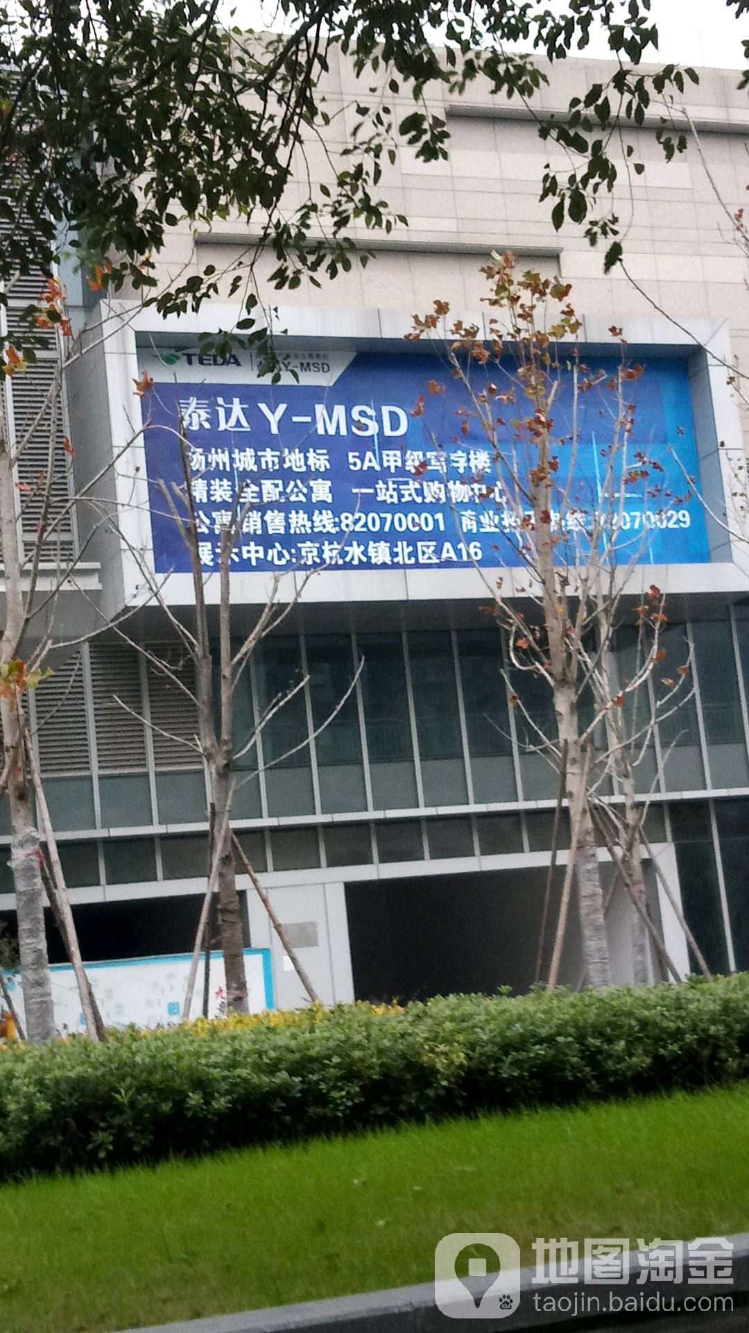 泰达Y-MSD