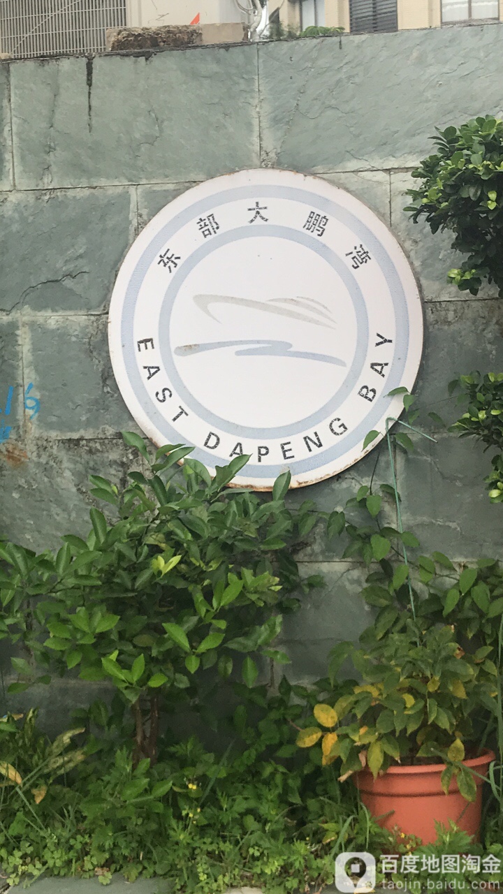 深圳市龙岗区南澳东渔社区