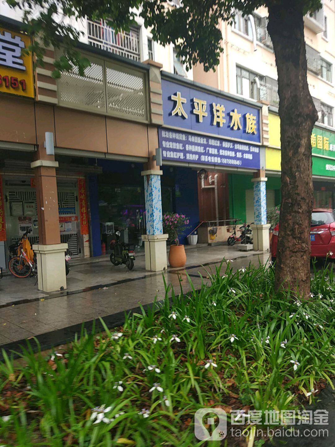 太平洋水族