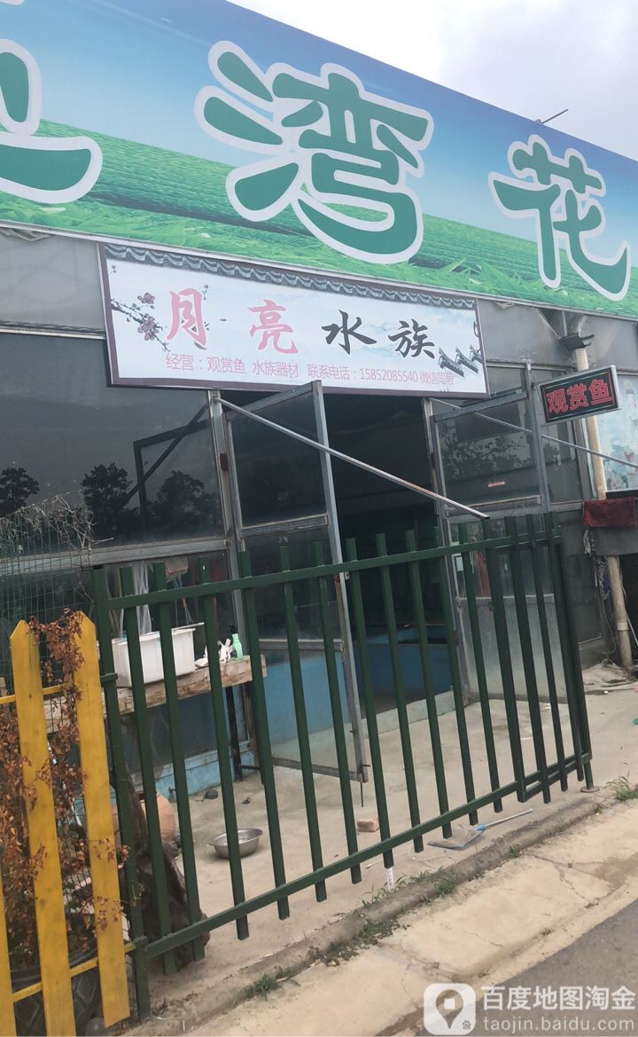 月亮湾湾水族(汉王镇创业孵化基地店)