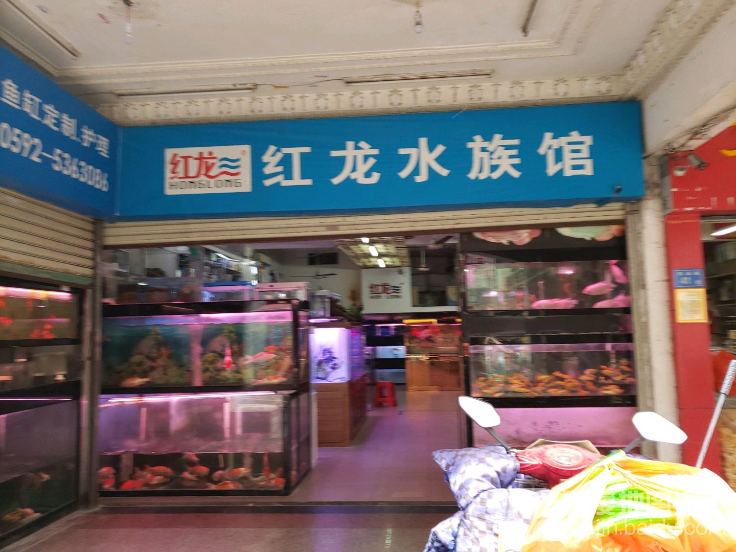 红龙水族馆(双涵路店)