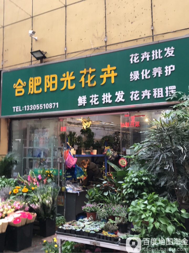 合肥阳光花卉(大唐国际购物广场店)