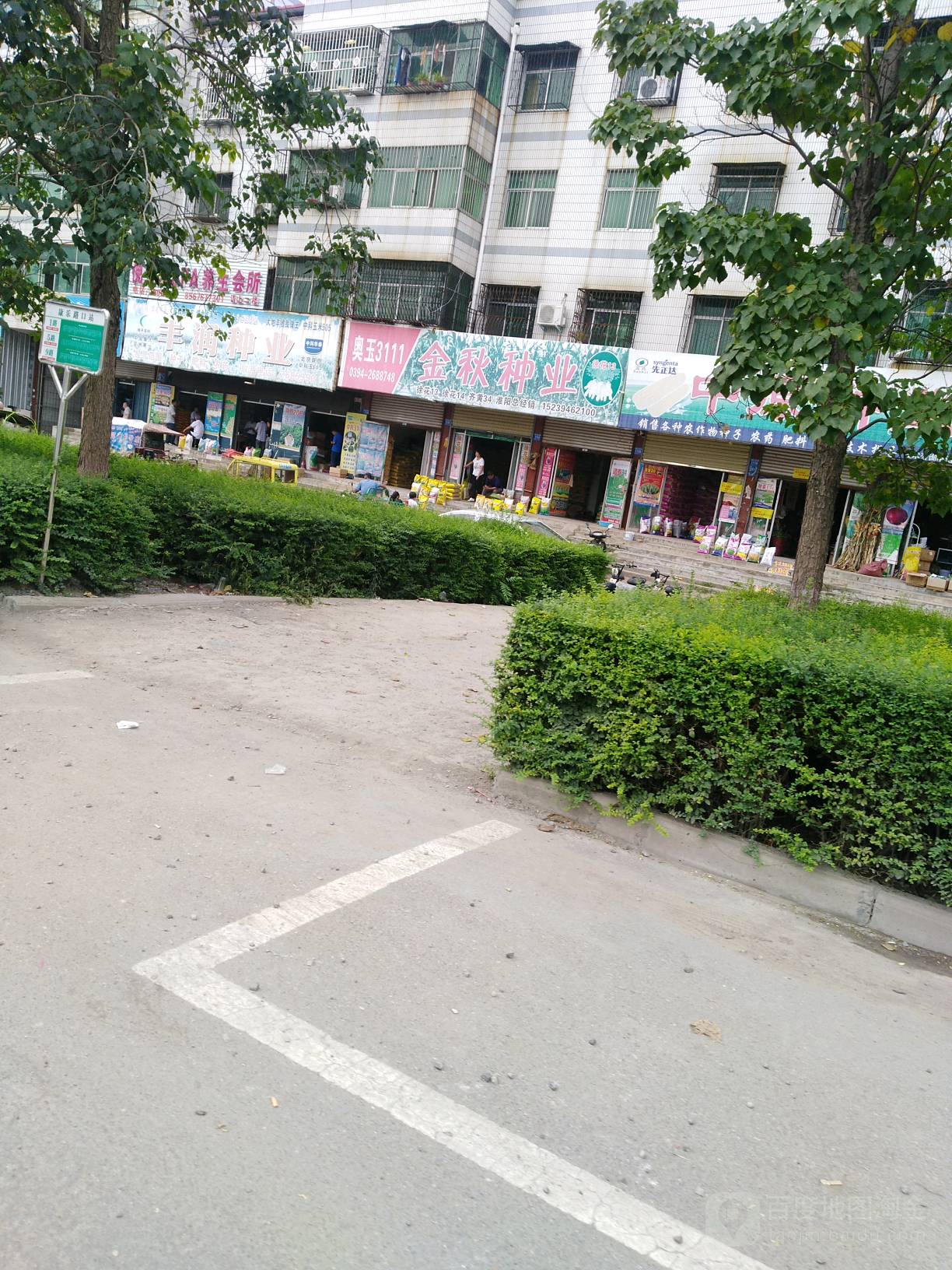 淮阳区金秋种业(龙都大道中路店)