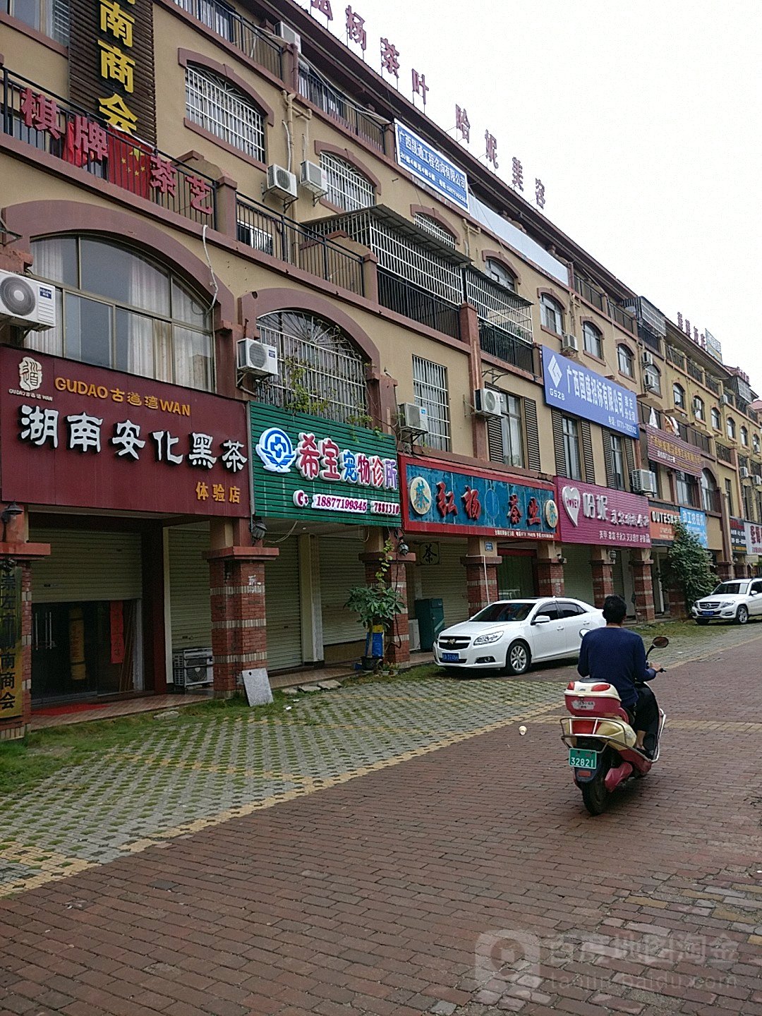 弘杨茶叶