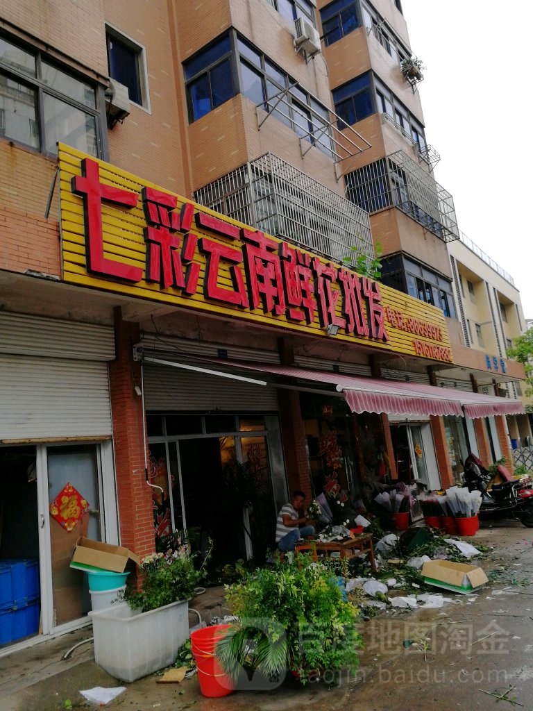 七彩云南鲜花批发