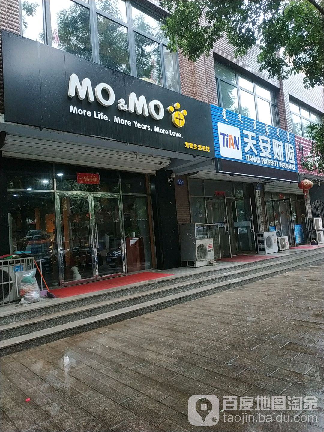 MO+MO宠物生活会馆