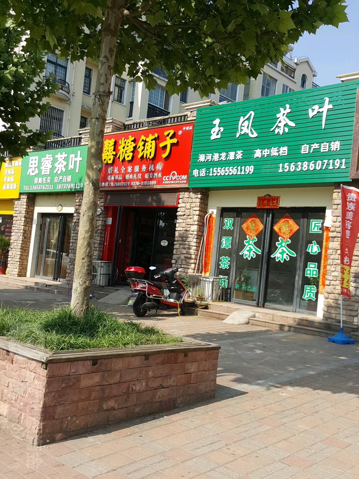 玉凤茶叶