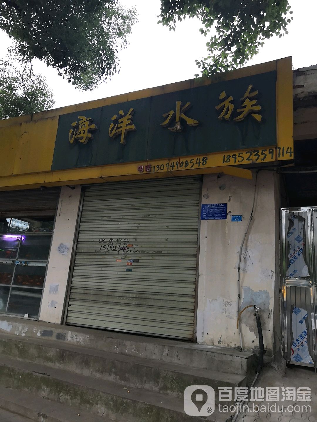 海洋水族(淮河东路店)