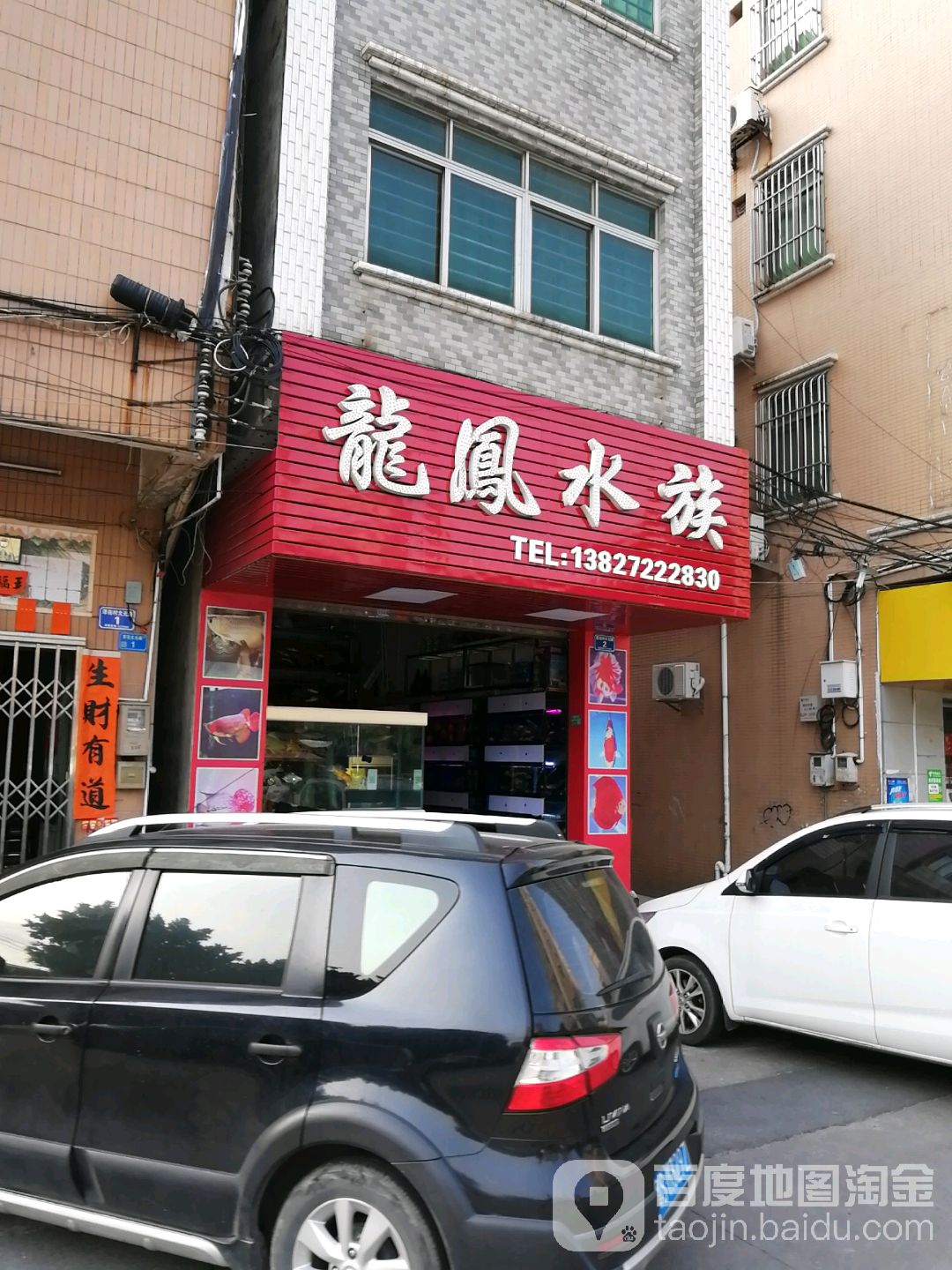 龙凤水族