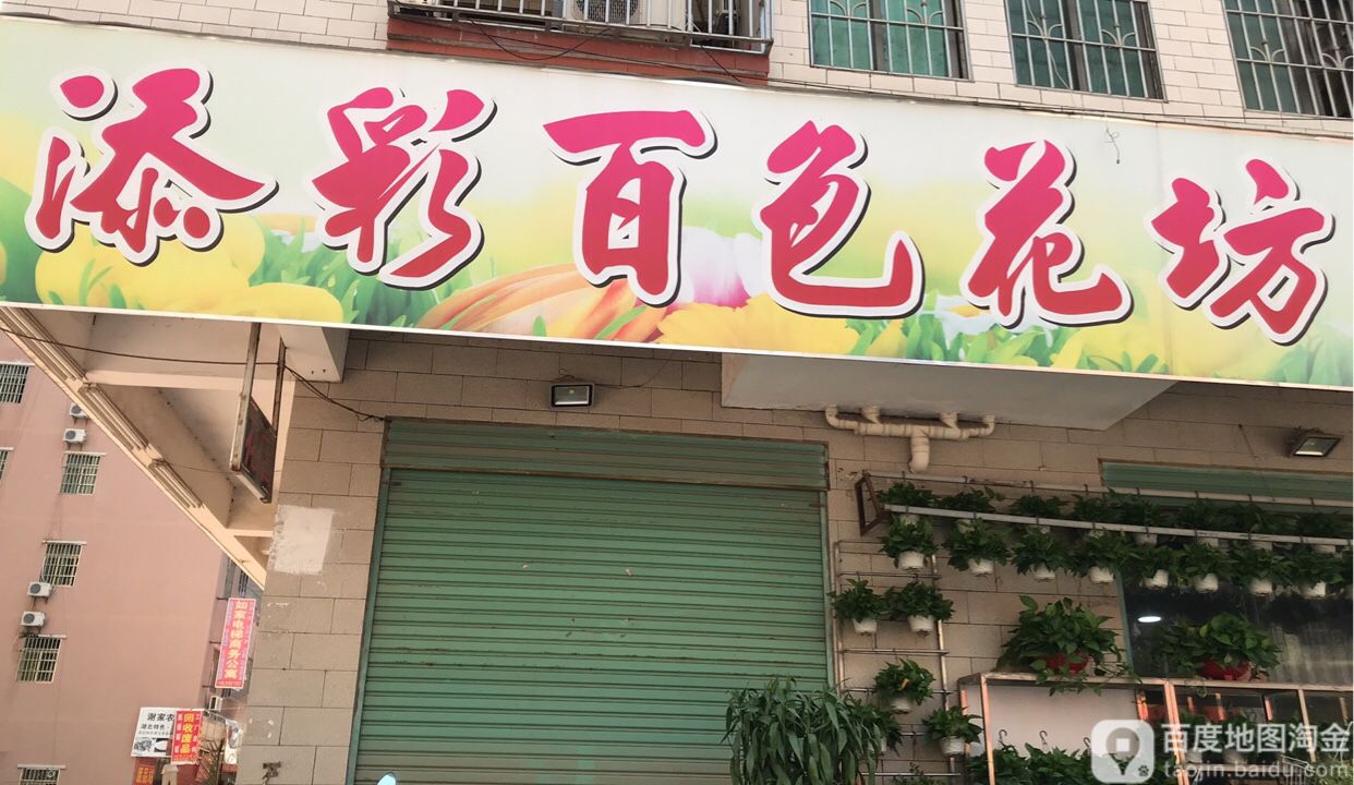 添彩百色花坊(总店)