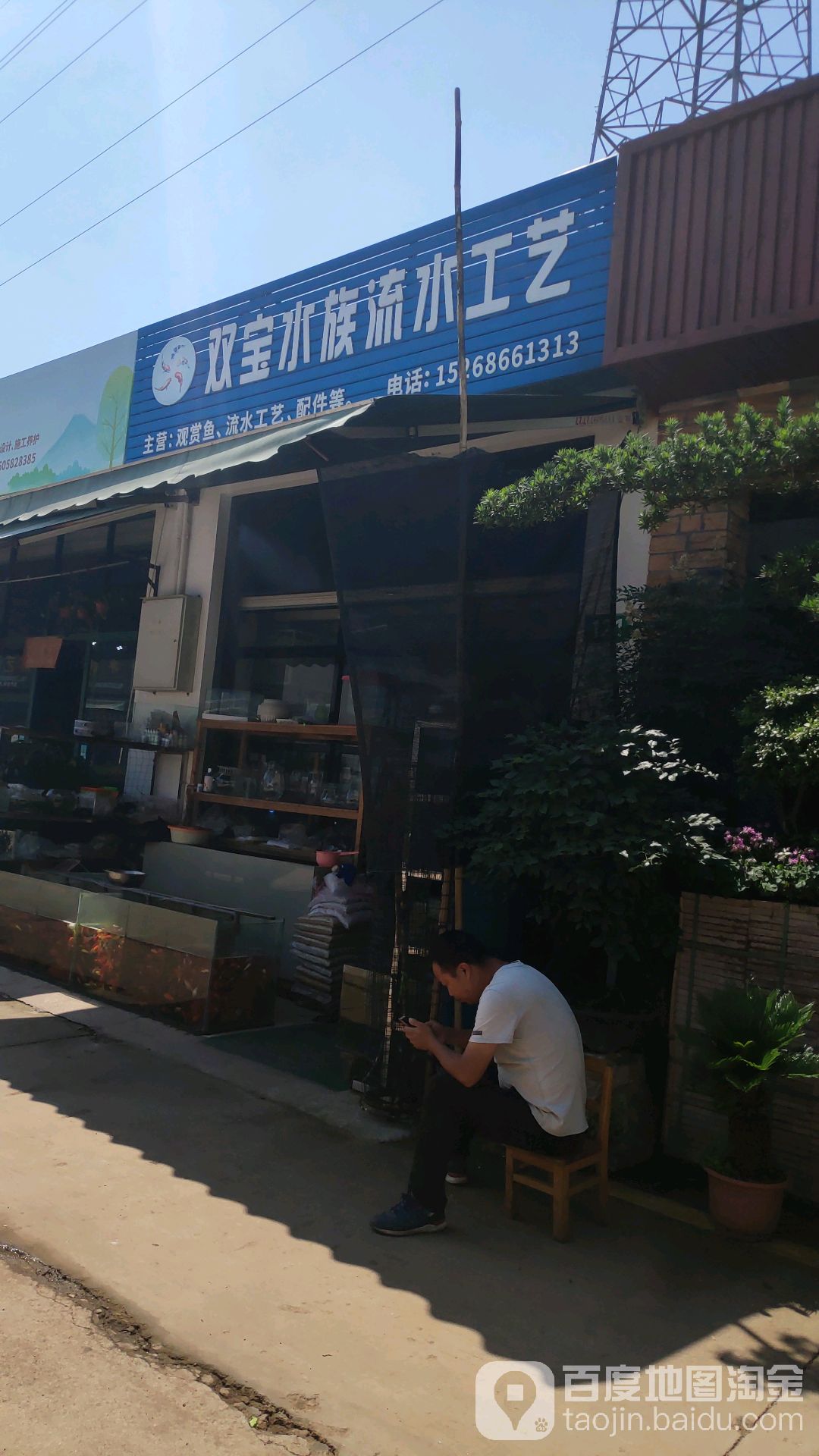 双宝水族