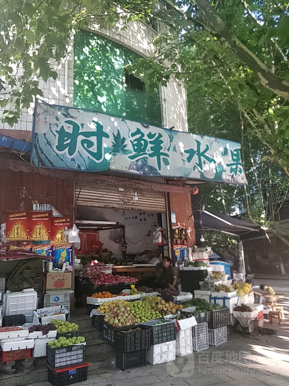 时鲜水果